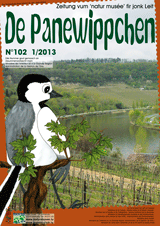 PW12013Cover