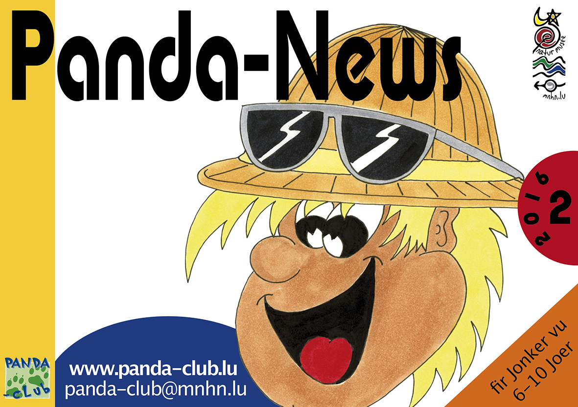 Panda Reesen 2/2016
